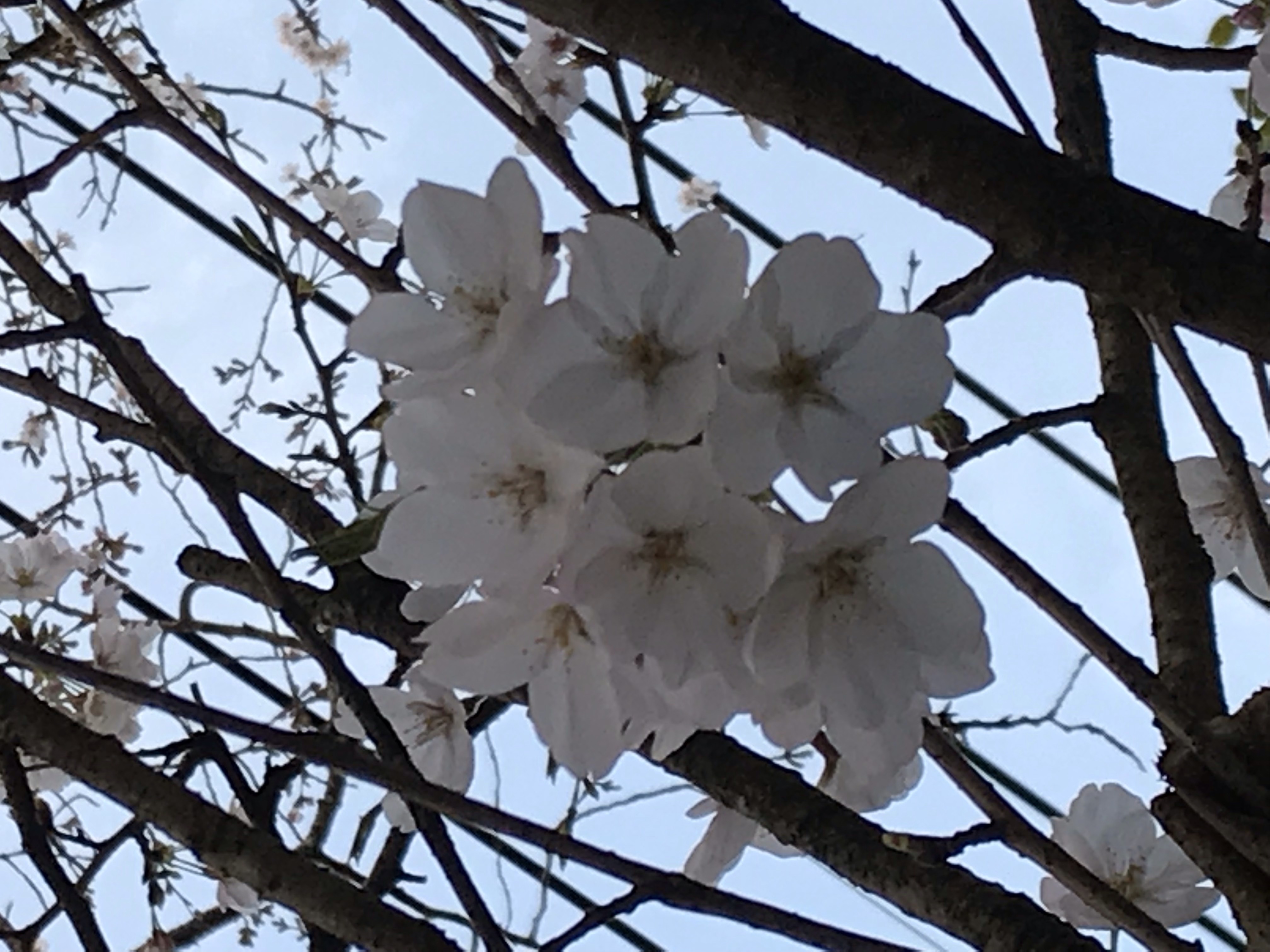 お客様の・・・びっくり！