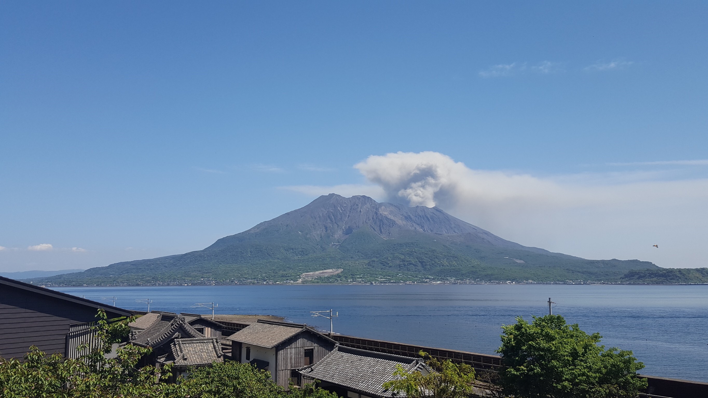 in 鹿児島