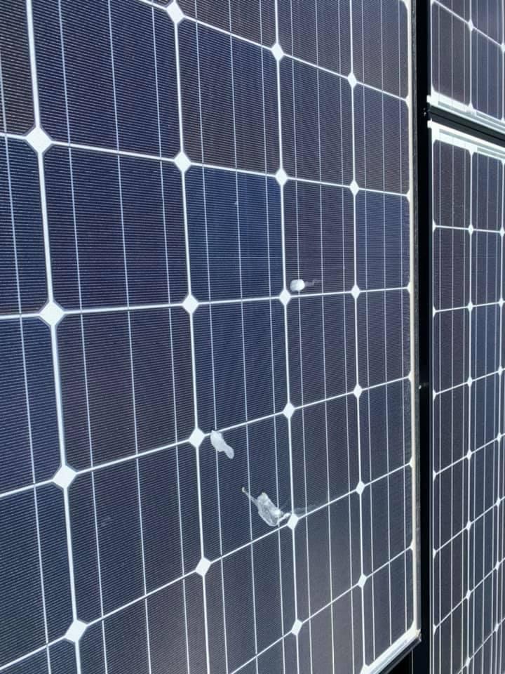 太陽光洗浄✨
