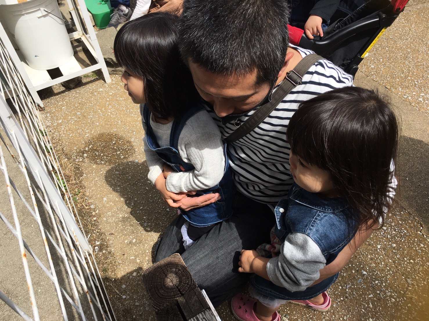 楽しい休日‼️