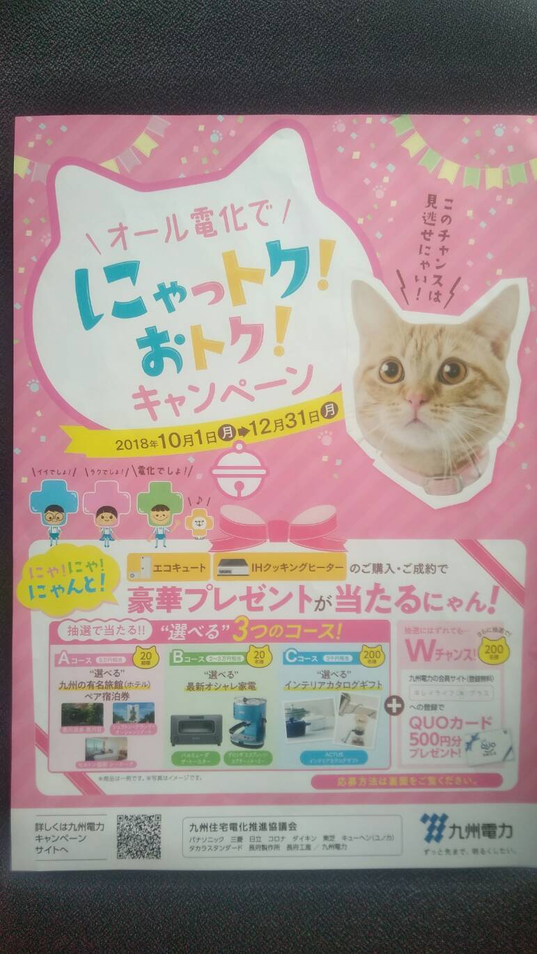 特別キャンペーン開催中